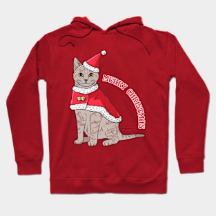 Cats wearing Christmas gear Hoodie